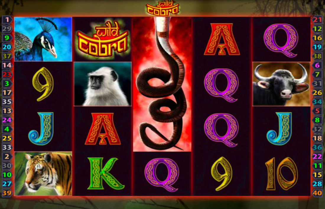 Wild Cobra Gameplay Wild Cobra Gameplay